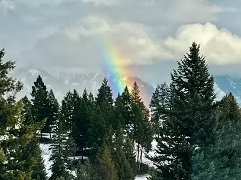 Other - Nhn Loon Lake Road, Trego, MT 59934 photo 24 of 31