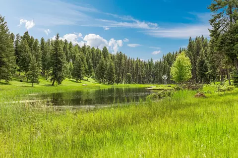 View/Area - Nhn Loon Lake Road, Trego, MT 59934 photo 8 of 9