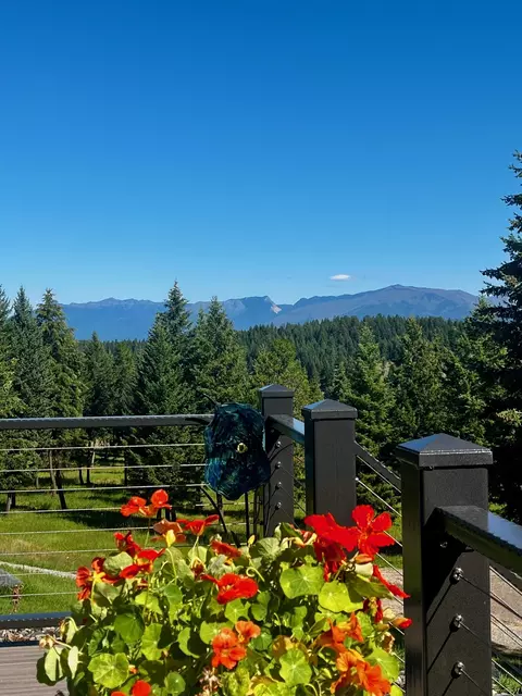 Exterior - Nhn Loon Lake Road, Trego, MT 59934 photo 6 of 15