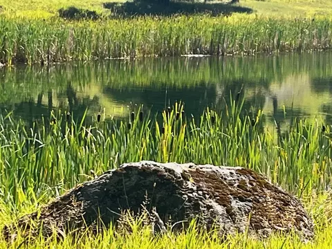 View/Area - Nhn Loon Lake Road, Trego, MT 59934 photo 4 of 9