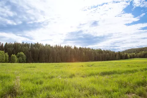 340 Tamarack Creek Rd, Whitefish, MT 59937