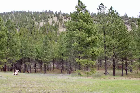 Nhn Sleeman Creek Road, Lolo, MT 59847