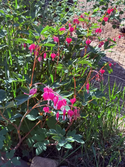Other - 281 Dolphin Way, Libby, MT 59923 photo 18 of 20