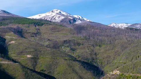 Undisclosed, Lolo, MT 59847