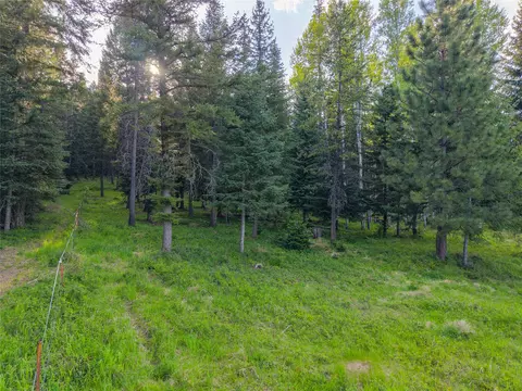 Other - 108 Bobtail Meadow Rd, Libby, MT 59923 photo 18 of 28