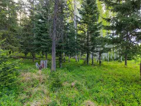 Other - 108 Bobtail Meadow Rd, Libby, MT 59923 photo 19 of 28