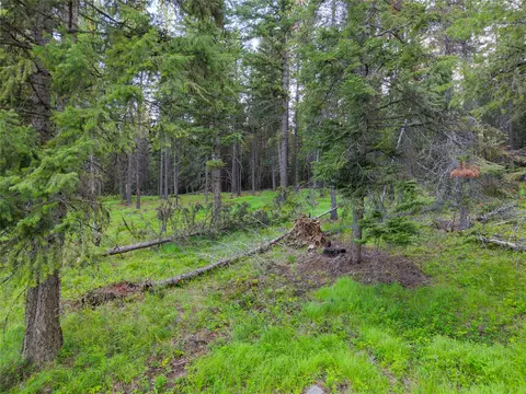Exterior - 108 Bobtail Meadow Rd, Libby, MT 59923 photo 48 of 50