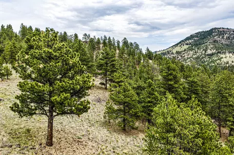 tbd Ridge Crest Ln, Cascade, MT 59421 photo 6