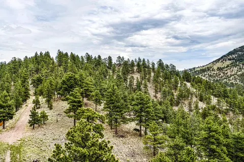 tbd Ridge Crest Ln, Cascade, MT 59421 photo 5