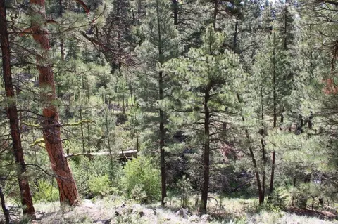 6 Pine Coulee Ln, Cascade, MT 59421 photo 34