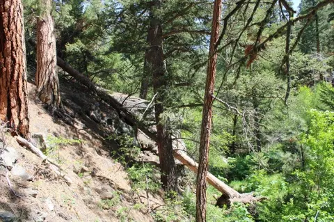 6 Pine Coulee Ln, Cascade, MT 59421 photo 36