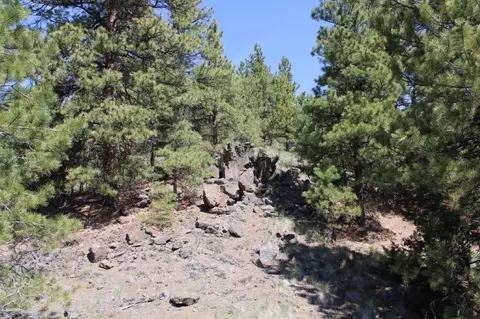 6 Pine Coulee Ln, Cascade, MT 59421 photo 16
