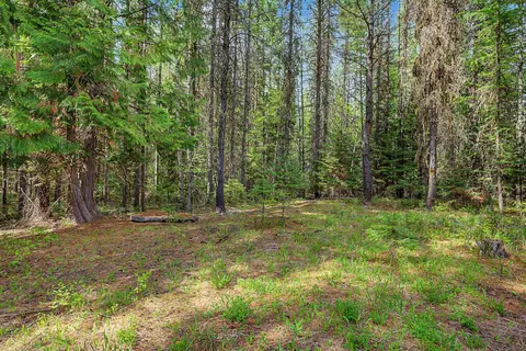 Exterior - 30612 Three Turtle Xing, Bigfork, MT 59911 photo 4 of 11