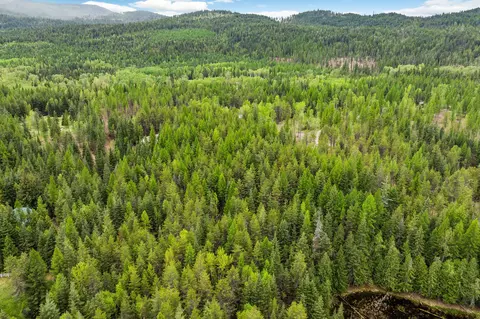 View/Area - 30612 Three Turtle Xing, Bigfork, MT 59911 photo 3 of 3