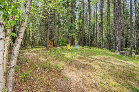 Exterior - 30612 Three Turtle Xing, Bigfork, MT 59911 photo 9 of 11