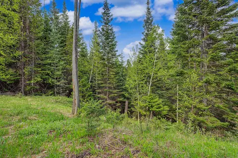 Exterior - 30612 Three Turtle Xing, Bigfork, MT 59911 photo 10 of 11