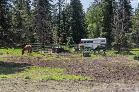 Exterior - 28321 Cougar Trl, Bigfork, MT 59911 photo 16 of 16