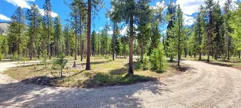 Nhn Deer Walk Way, Darby, MT 59829