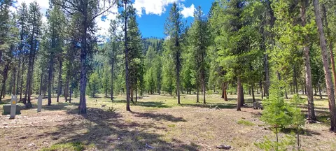 Nhn Deer Walk Way, Darby, MT 59829