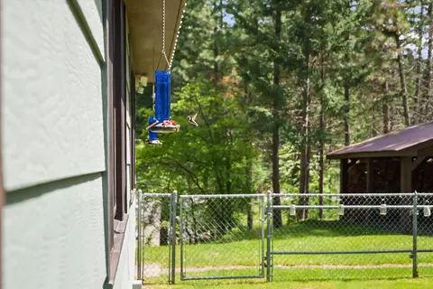 Exterior - 159 Sylvan Dr, Bigfork, MT 59911 photo 8 of 22
