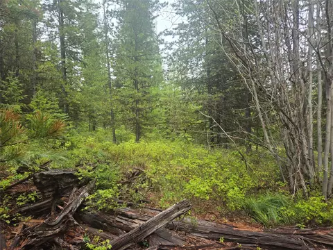 Tract 20 Nine Mile Road, Huson, MT 59846