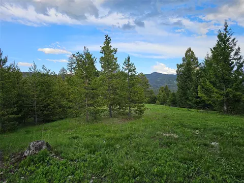 Nhn Hematite Road, Gold Creek, MT 59733