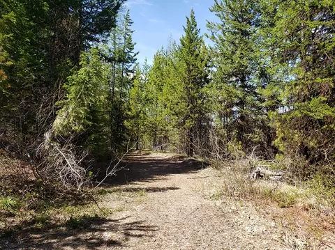 Tract 10 Ida Lode Nine Mile Road, Huson, MT 59846
