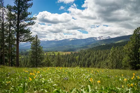 Nhn Dry Smith Road, Victor, MT 59875
