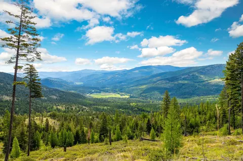 Nhn Idaho Hill Road, Marion, MT 59925
