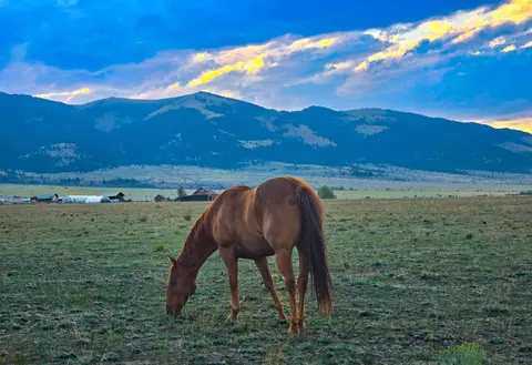 Other - 2733 Mt Highway 69, Boulder, MT 59632 photo 10 of 12