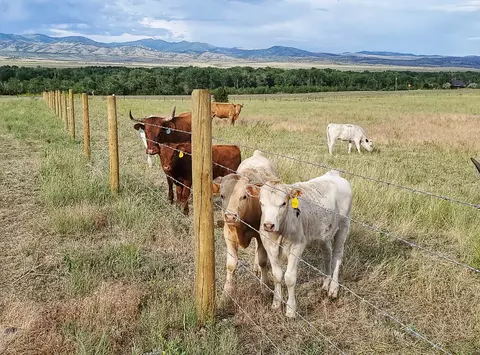 Other - 2733 Mt Highway 69, Boulder, MT 59632 photo 9 of 12