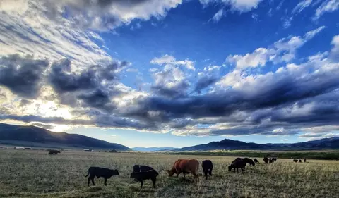 Other - 2733 Mt Highway 69, Boulder, MT 59632 photo 11 of 22