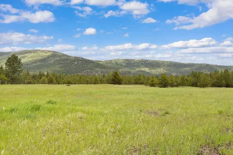 107115 Marion Meadows Trl, Marion, MT 59925
