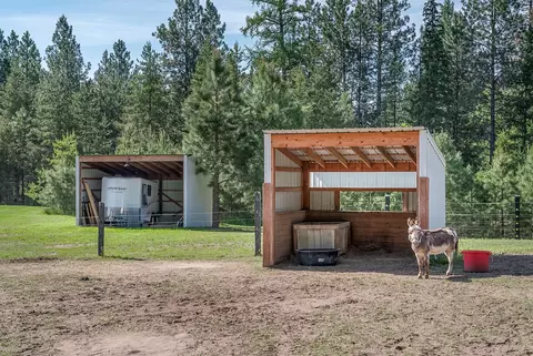 Exterior - 777 Mt Highway 83, Bigfork, MT 59911 photo 8 of 9