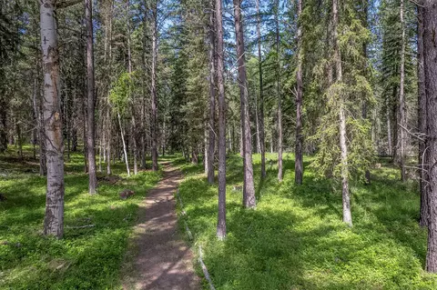 Other - 777 Mt Highway 83, Bigfork, MT 59911 photo 19 of 21