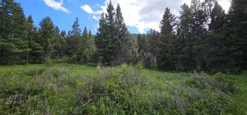 Tract 11 Hall Creek, Helmville, MT 59843