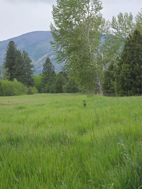 5616 Klements Ln, Florence, MT 59833