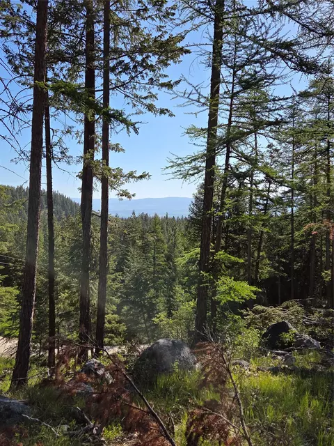 1959 Bear Face Rd, Victor, MT 59875
