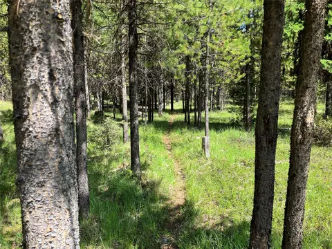 Other - 1606 N Fork Yaak Rd, Troy, MT 59935 photo 26 of 39