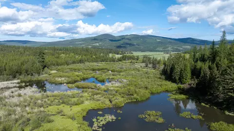 3180 Browns Meadow Rd, Kila, MT 59920