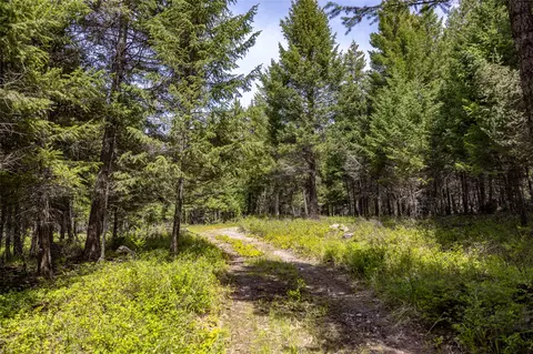 180 Squirrel Ln, Whitefish, MT 59937 photo 24