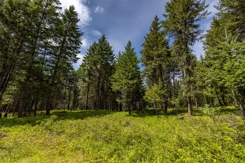 180 Squirrel Ln, Whitefish, MT 59937 photo 23