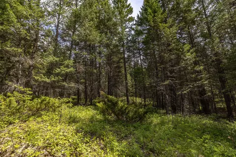 180 Squirrel Ln, Whitefish, MT 59937 photo 26