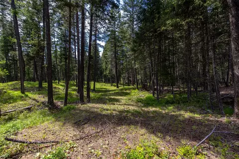 180 Squirrel Ln, Whitefish, MT 59937 photo 19