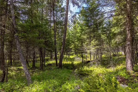 180 Squirrel Ln, Whitefish, MT 59937 photo 13