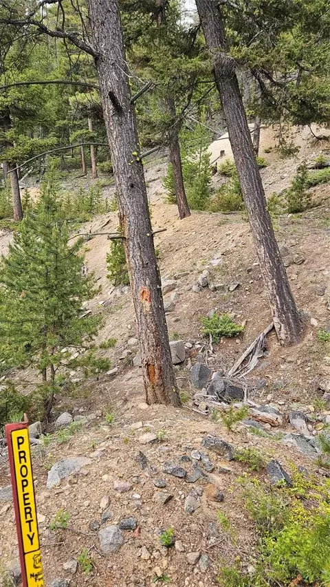 67 Basin Creek Rd, Boulder, MT 59632 photo 18