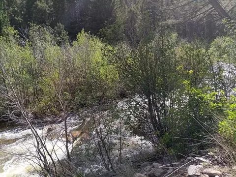 67 Basin Creek Rd, Boulder, MT 59632 photo 9