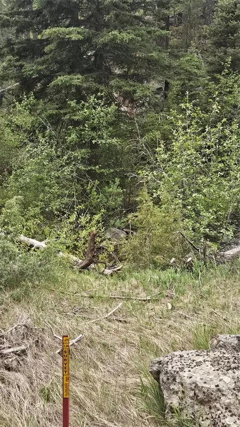 67 Basin Creek Rd, Boulder, MT 59632 photo 6