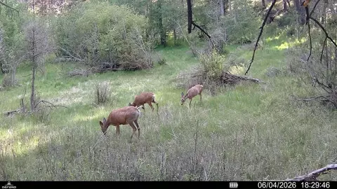 tbd Powerline Rd, Boulder, MT 59632 photo 21