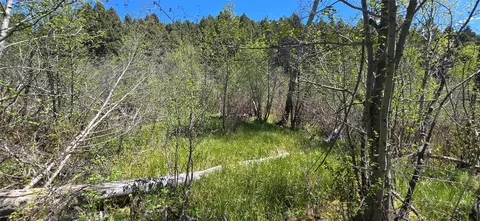 tbd Powerline Rd, Boulder, MT 59632 photo 15